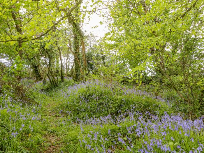 Orchard Loft, Devon