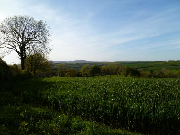 Orchard Loft, Devon