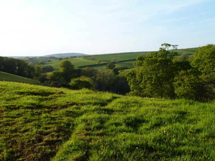 Orchard Loft, Devon