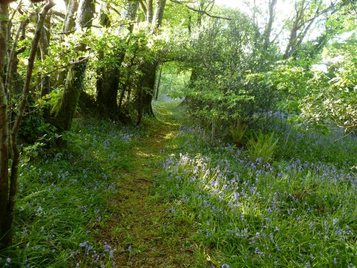 Orchard Loft, Devon