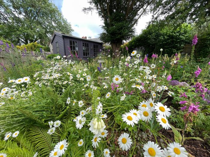 King Charles Cottage, Broadwindsor