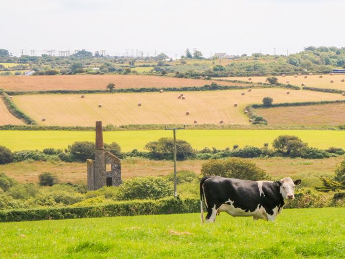 The Old Cows House, Helston