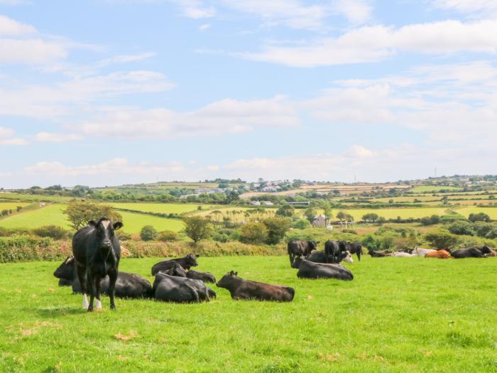 The Old Cows House, Helston