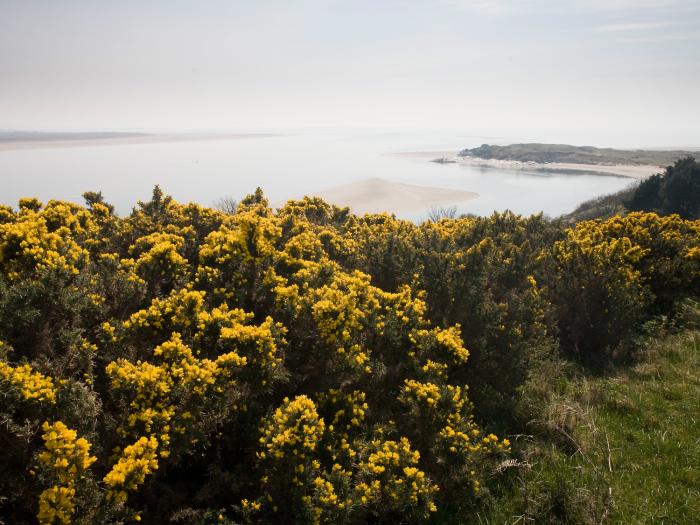 Bryn Y Mor,  Borth Y Gest, Borth-Y-Gest