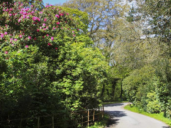 Garden Cottage - Rhoscolyn, Rhoscolyn