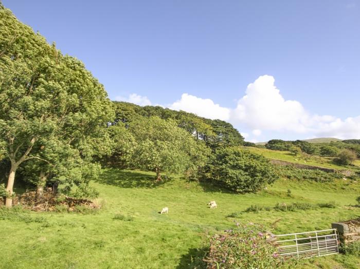 Big House, Llandecwyn