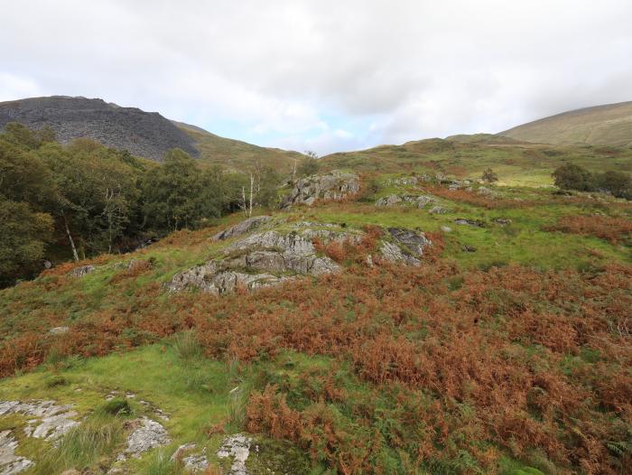 Llwyn Bedw, Nant Peris