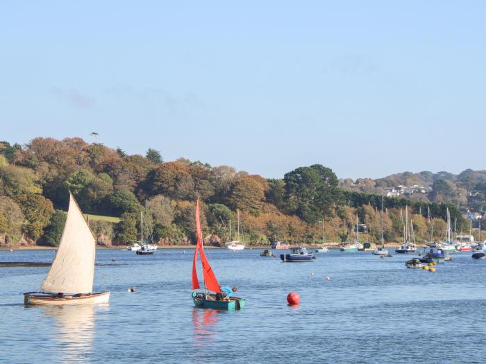 Toadstools, Penryn