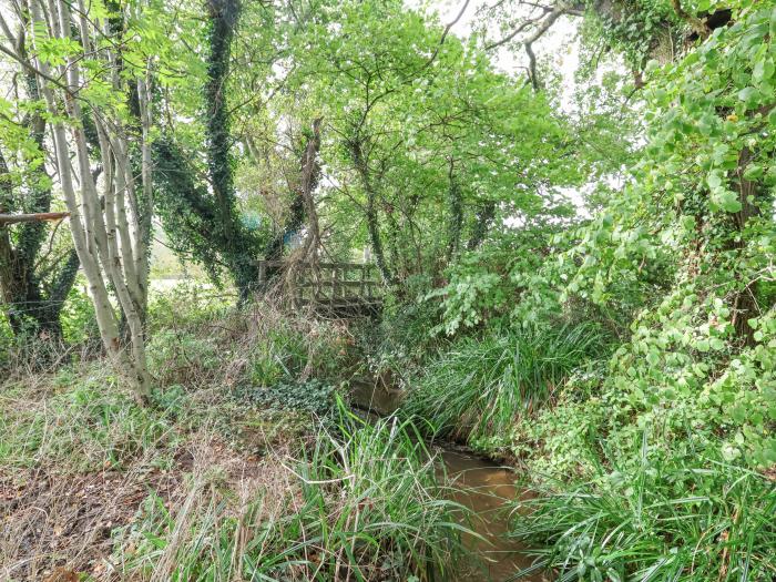 Rhydonnen Bach, Llanrhaeadr