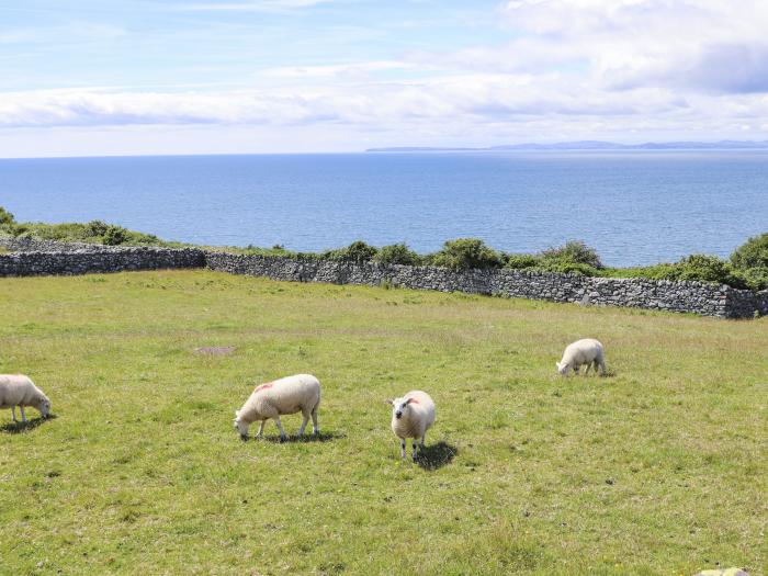 Glyn Morfa, Harlech