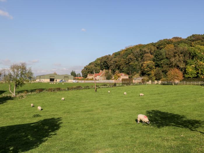 Woodside Barn Cottage, Thirsk