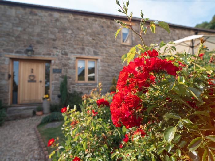 May Blossom Barn, Lustleigh