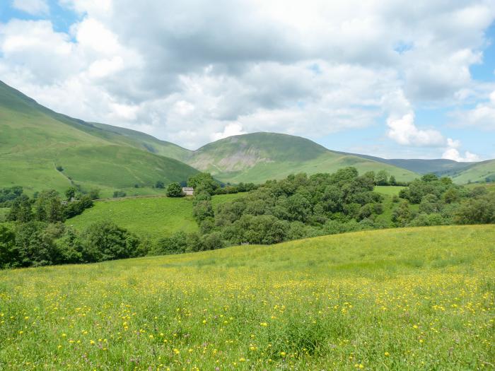 Pine Cottage, Sedbergh