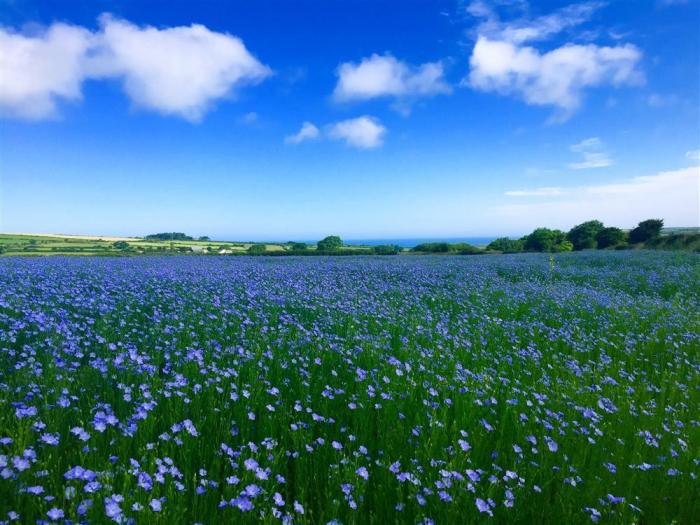 Stable Cottage, Newport, Pembrokeshire