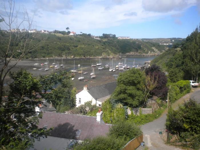 Shell Cottage in Fishguard, Pembrokeshire. 3 bedrooms. Dog-friendly. Close beach and coast. Barbecue
