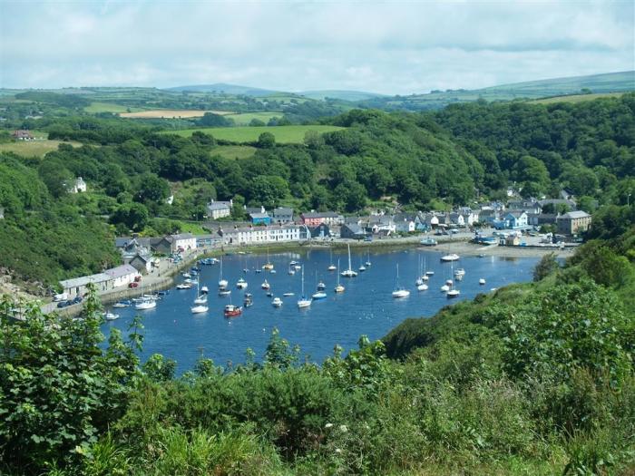 Shell Cottage in Fishguard, Pembrokeshire. 3 bedrooms. Dog-friendly. Close beach and coast. Barbecue