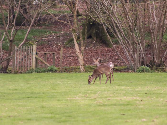 Deer lodge at Chapel Lodges, Wimborne Minster