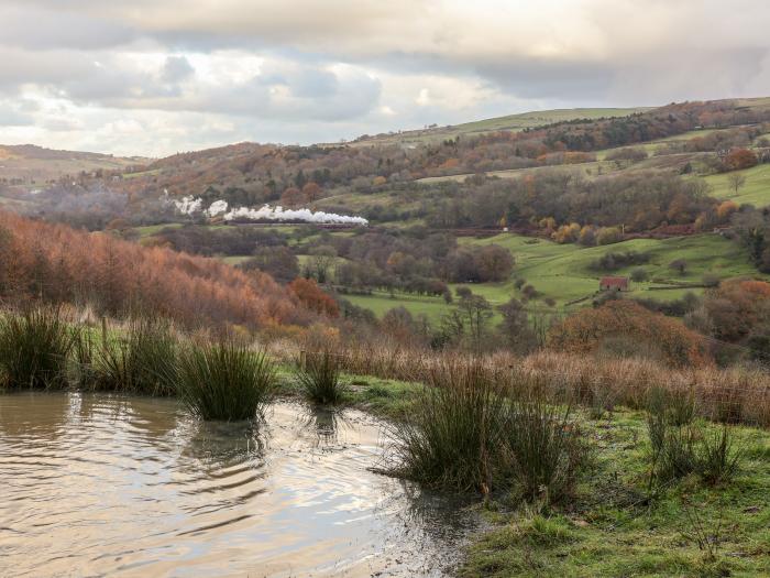 Meadowsweet, Goathland