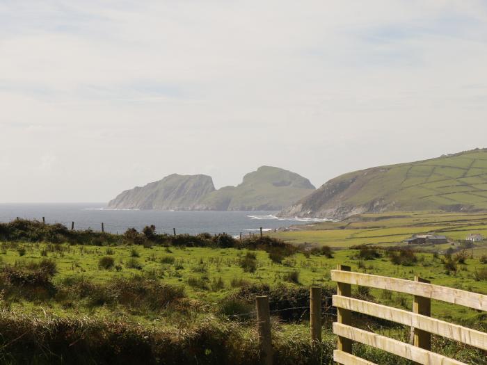 Kingdom Of The Hare, Ballinskelligs, County Kerry