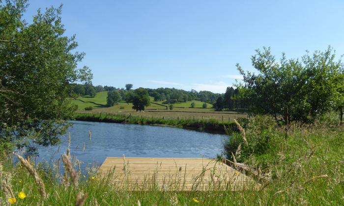 Grass Ings, Langdale, Cumbria