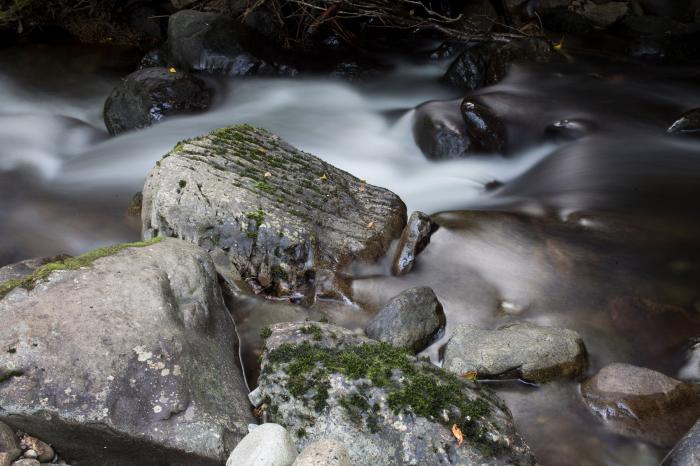 Pandy Isaf, Dolgellau