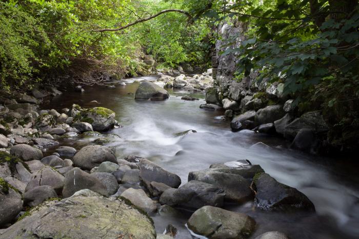 Pandy Isaf, Dolgellau