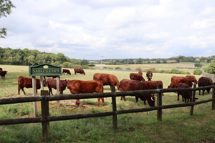 The Anchorage @ Nables Farm, Upper Seagry