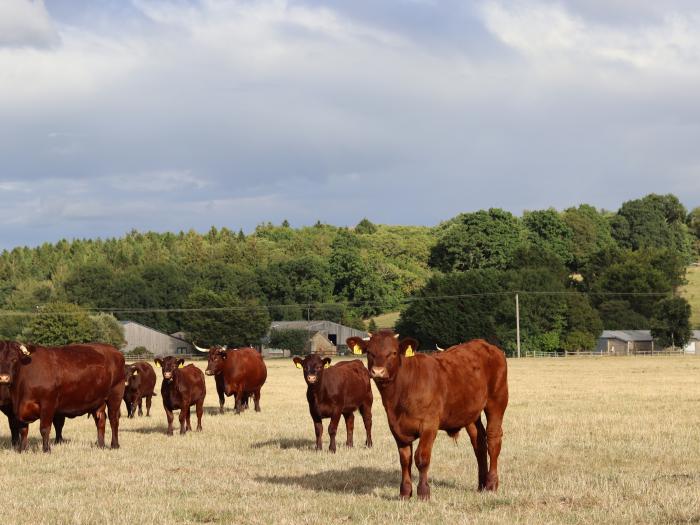 The Anchorage @ Nables Farm, Upper Seagry