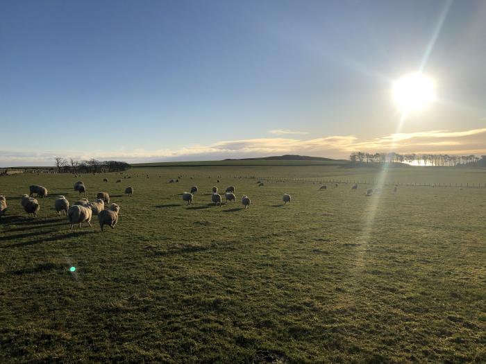 Knightsward Farm, Anstruther