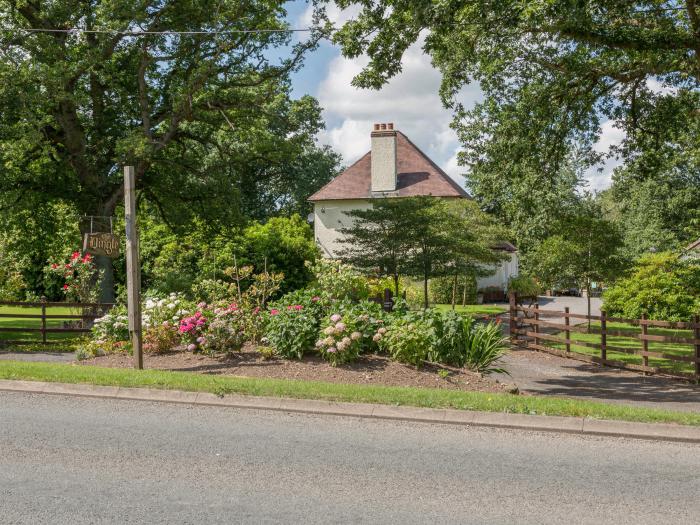 The Big Dingle, Church Stretton