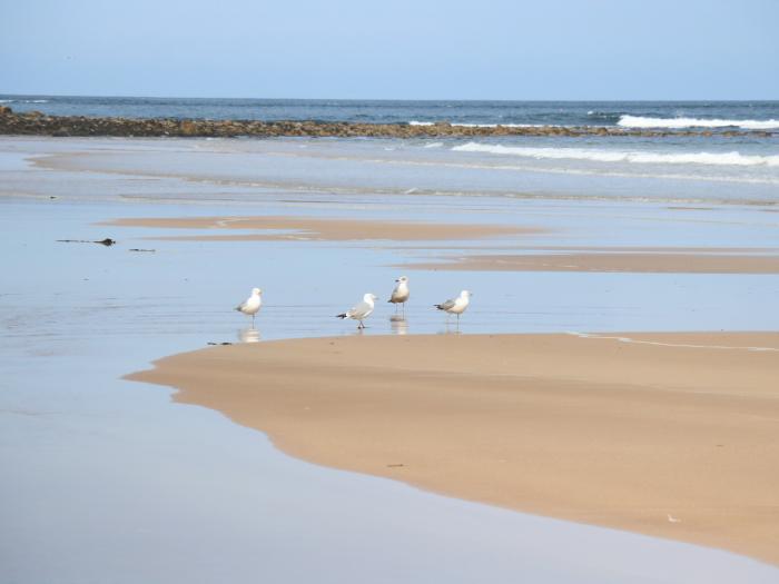 Viola Cottage, Fraserburgh