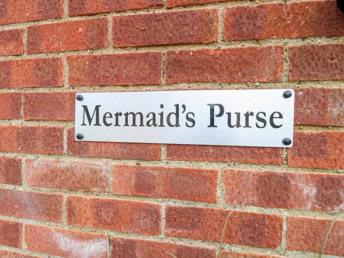 Mermaid's Purse, Eccles-On-Sea