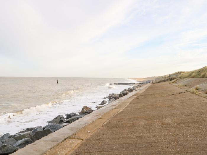 Mermaid's Purse, Eccles-On-Sea