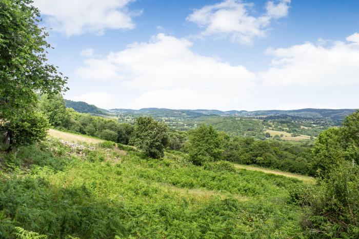 Pant Yr Iwrch, Llanbedr Y Cennin