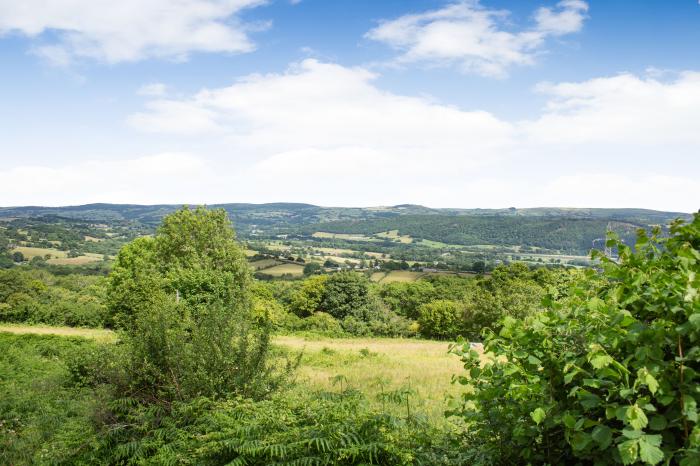 Pant Yr Iwrch, Llanbedr Y Cennin