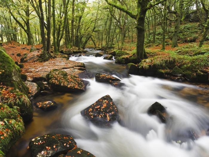 Watermill, St Breward