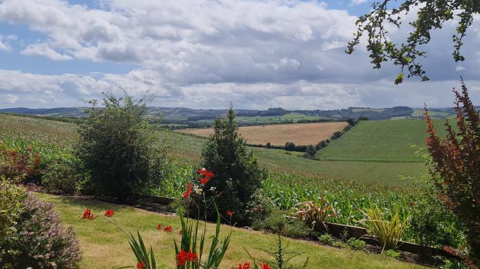 The Thatched Cottage, Crediton