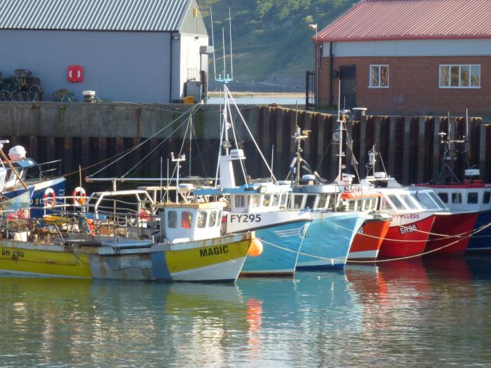 Wren, Burniston