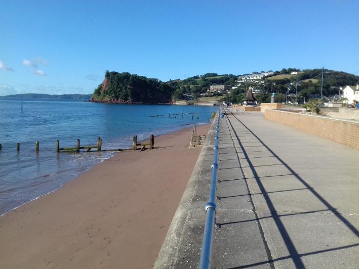 Sea Thrift, Teignmouth