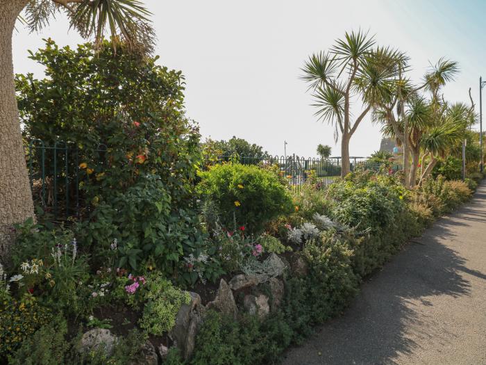 Beach Rose, Teignmouth