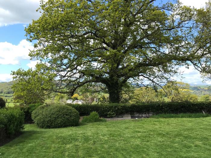 Berwyn View, Welshpool