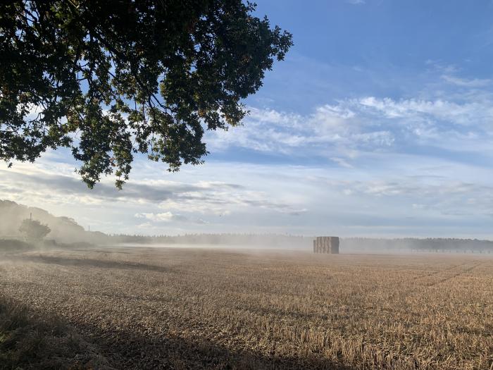 The Little Hay Barn, Bacton, Norfolk. Woodburning stove. Off-road parking. Near beach and amenities.