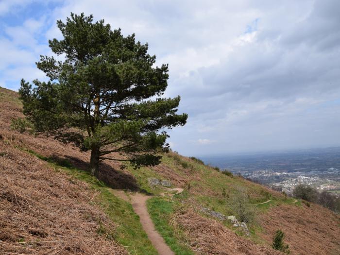 The Escape, Malvern