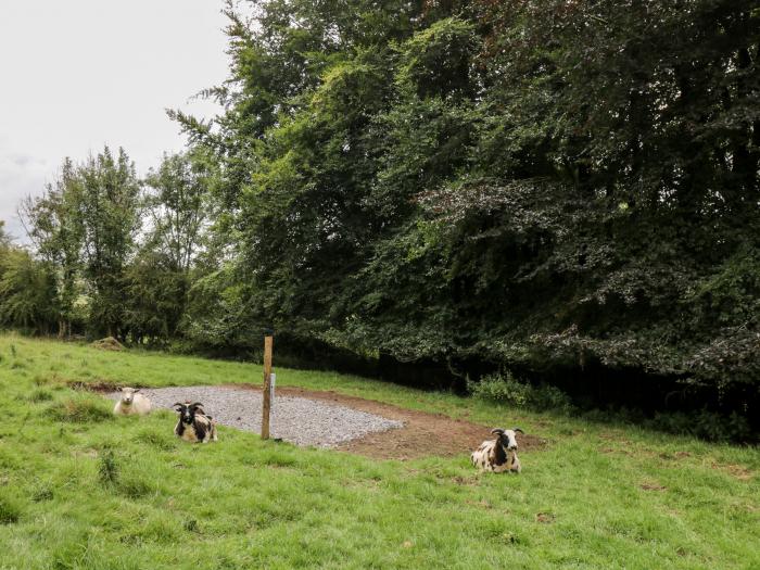 The Sheep Shack, Shepton Mallet