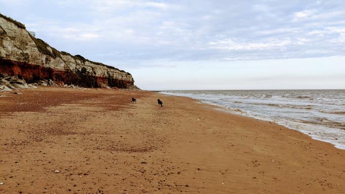 Maples, Hunstanton