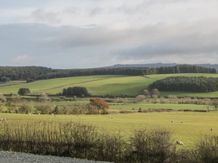 Stapeley Pod, Chirbury