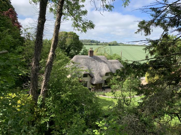 Under Acre Cottage, Winterborne Whitechurch