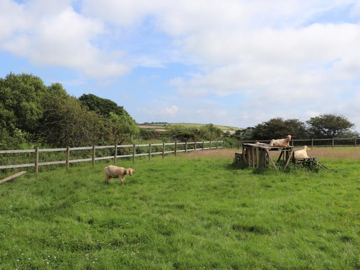 The Dairy, Helston