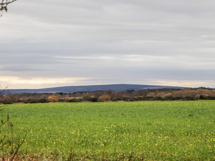 Lily Collies, Fochabers