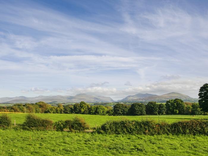 Dolwaenydd, Brynsiencyn